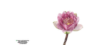 Single Bloom Gift Cards/ Minimum order of 6