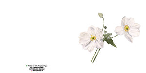 Single Bloom Gift Cards/ Minimum order of 6