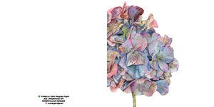 Single Bloom Gift Cards/ Minimum order of 6