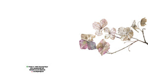 Single Bloom Gift Cards/ Minimum order of 6