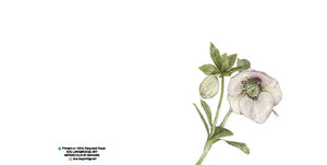 Single Bloom Gift Cards/ Minimum order of 6