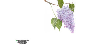 Single Bloom Gift Cards/ Minimum order of 6