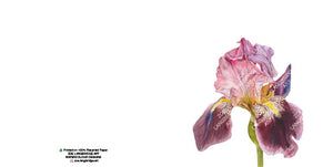 Single Bloom Gift Cards/ Minimum order of 6