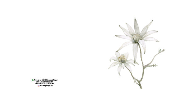 Single Bloom Gift Cards/ Minimum order of 6