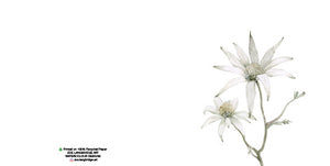Single Bloom Gift Cards/ Minimum order of 6