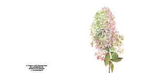 Single Bloom Gift Cards/ Minimum order of 6