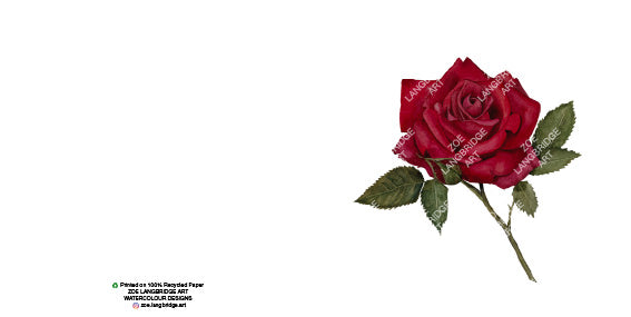 Single Bloom Gift Cards/ Minimum order of 6