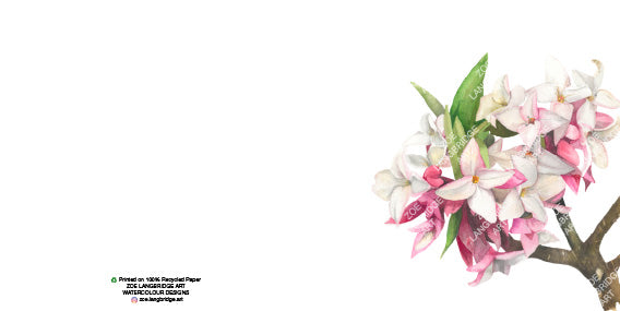 Single Bloom Gift Cards/ Minimum order of 6