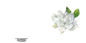 Single Bloom Gift Cards/ Minimum order of 6