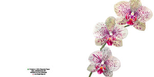 Single Bloom Gift Cards/ Minimum order of 6