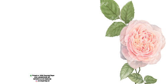 Single Bloom Gift Cards/ Minimum order of 6