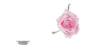 Single Bloom Gift Cards/ Minimum order of 6