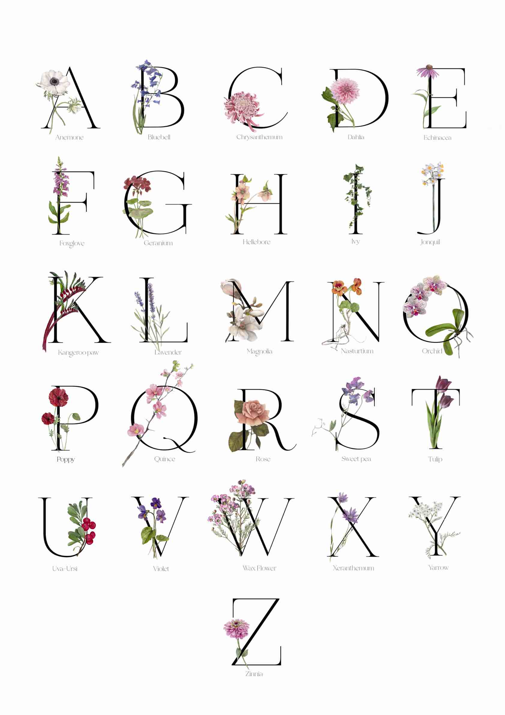 Floral Alphabet