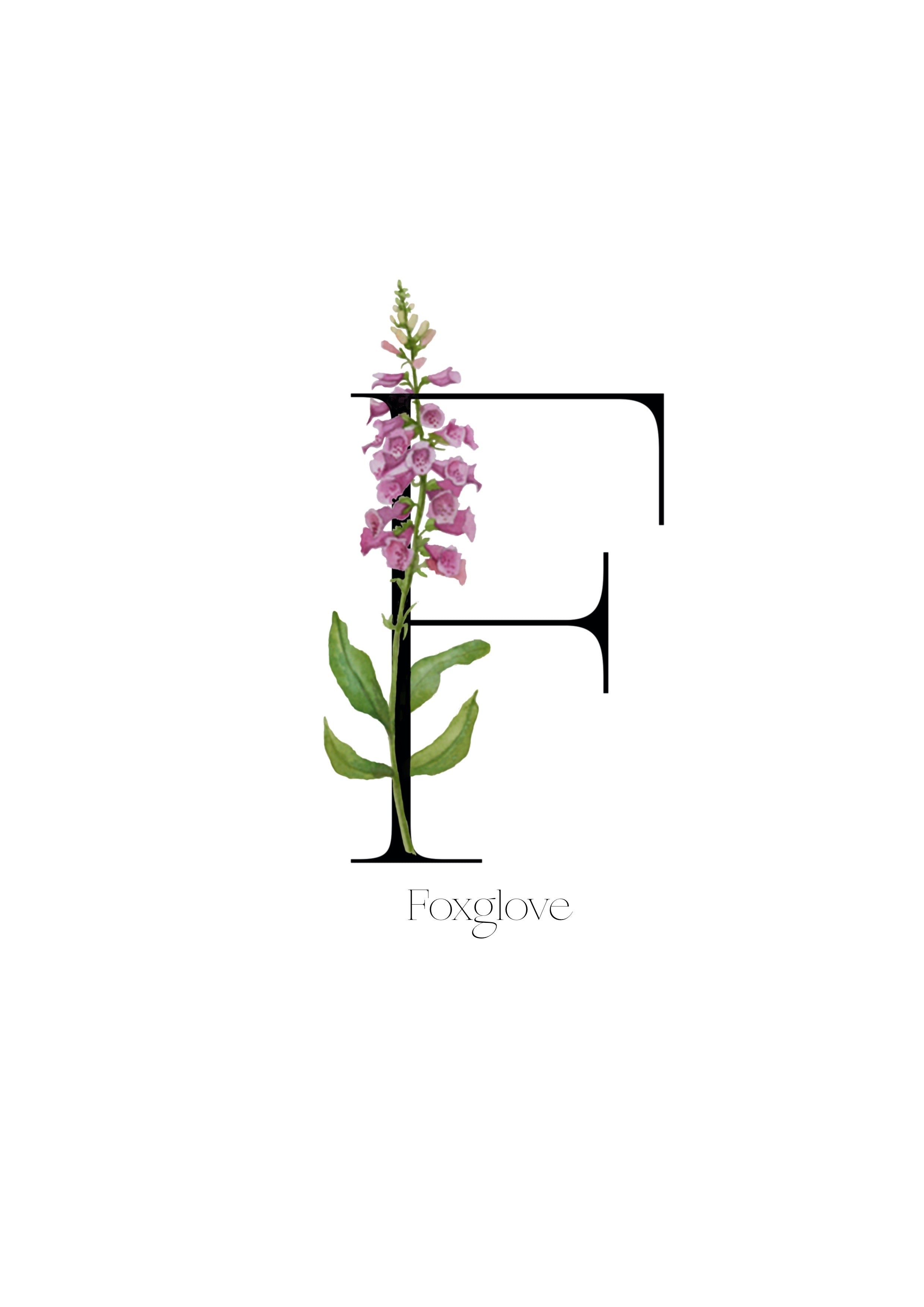 Floral Alphabet prints