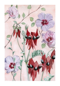 Sturt Pea and Desert Rose