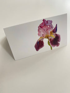 Floral Gift Tag Set