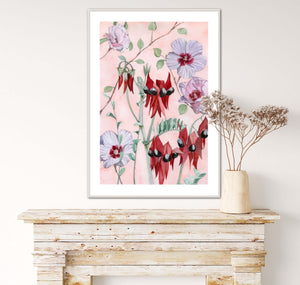 Sturt Pea and Desert Rose
